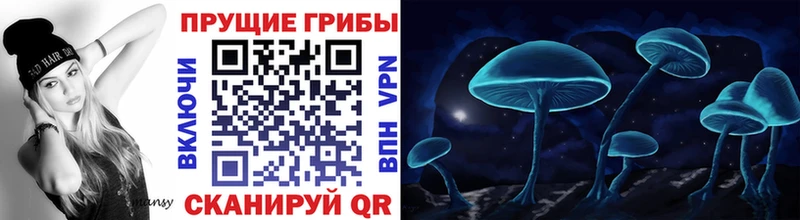 Купить закладки  Жирновск  Псилоцибиновые грибы прущие грибы 